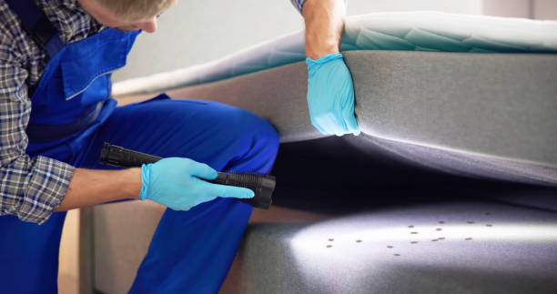 Best Emergency Pest Control  in Sand Ridge, NY
