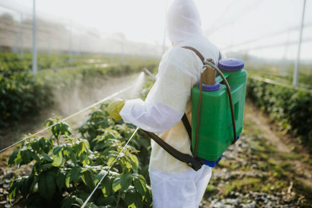 Best Affordable Pest Control Services  in Sand Ridge, NY
